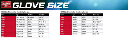 Rawlings | Players Series T-Ball &amp; Youth Baseball Glove | Multiple Styles